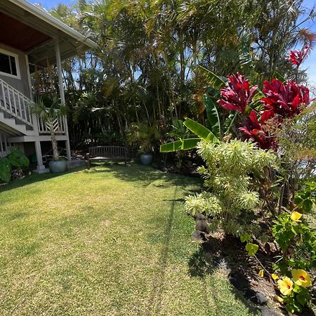 Private Ohana On The Lush Hamakua Coast With Ac Honokaa Екстер'єр фото