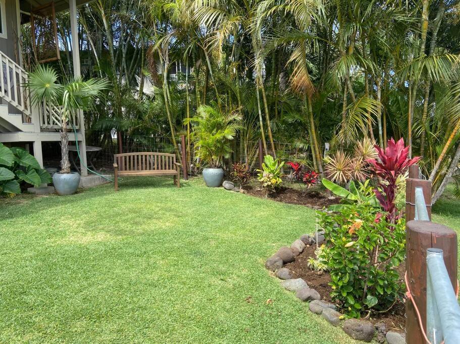 Private Ohana On The Lush Hamakua Coast With Ac Honokaa Екстер'єр фото