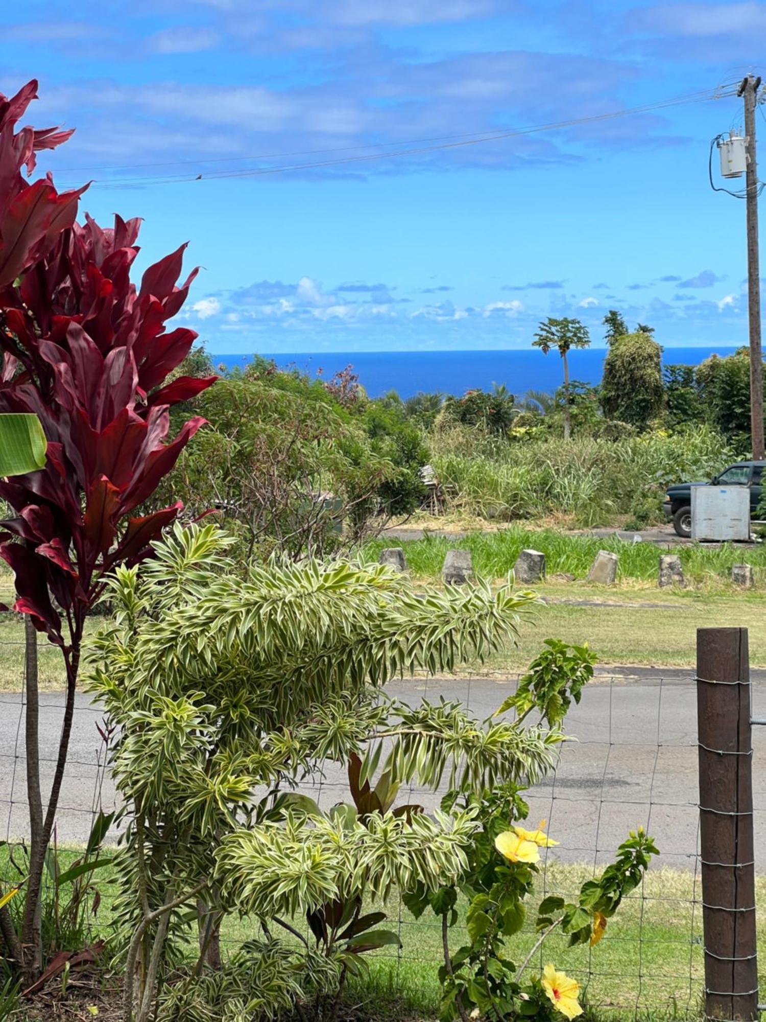 Private Ohana On The Lush Hamakua Coast With Ac Honokaa Екстер'єр фото