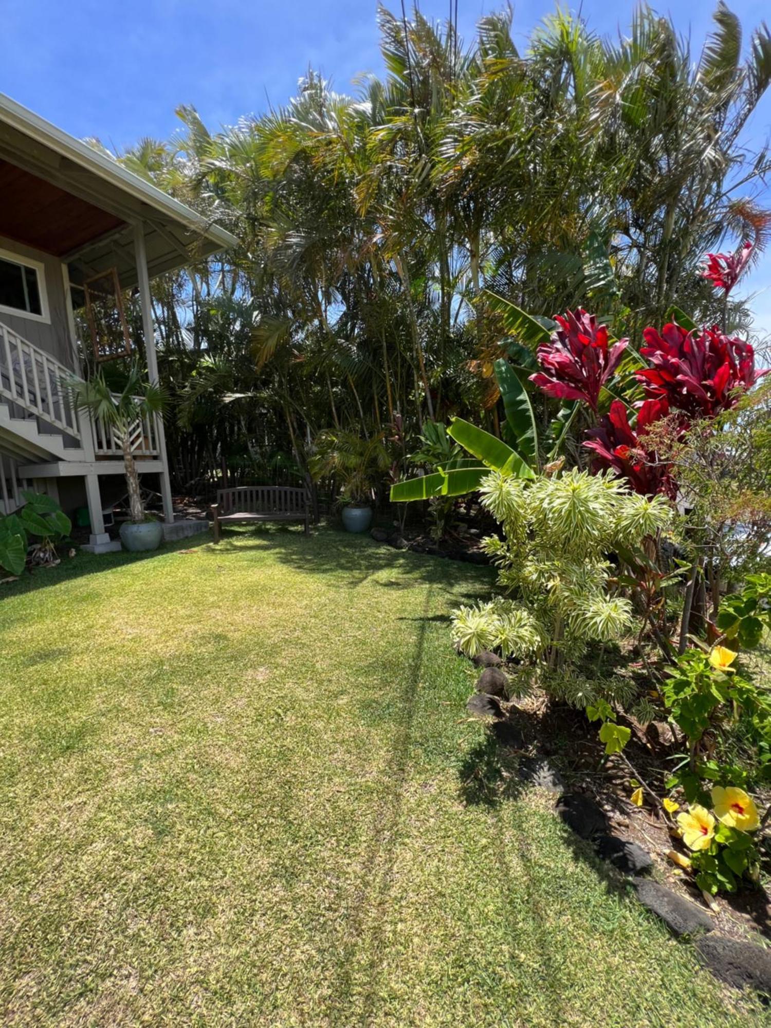 Private Ohana On The Lush Hamakua Coast With Ac Honokaa Екстер'єр фото
